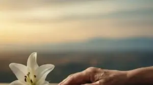 Ostatnie Pożegnanie Cytaty ostatnie pożegnanie cytaty